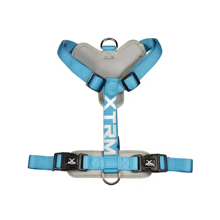 ARNES X-TRM CRONOS NEON FLASH 35-60x1.5cm AZUL NAYECO - 1