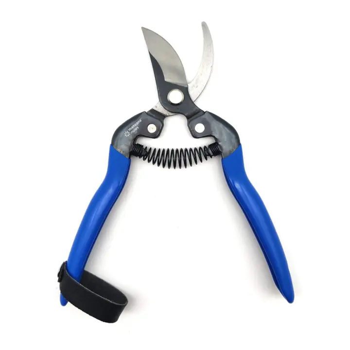 TIJERA RECOLECCION M/AZUL CURVA M120 - 1