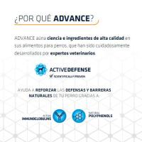 Advance Mini Adult Chicken, Pienso para Perros Adultos de Razas Pequeñas con Pollo, 1.5Kg - details 3