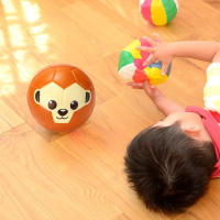 Bola De Fútbol Para Niños Mini Bola Educativa De Animales De Dibujos Animados Suave Y Portátil Para Practica Y Entrenamiento Interior Y Exterior - details 2