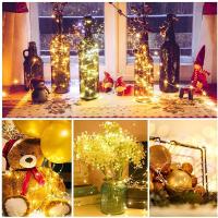 Cadenas De Luces Faeiry 1/5/10pcs Para Decoración De Hogar Dormitorio Jardín Navidad Boda Año Nuevo LED Con Pilas Incluidas - details 14