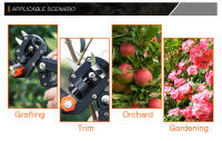 Tijeras De Poda Profesional Para Frutas Y Árboles Herramientas De Jardín Podadora De Corte Herramientas Agrícolas - details 3