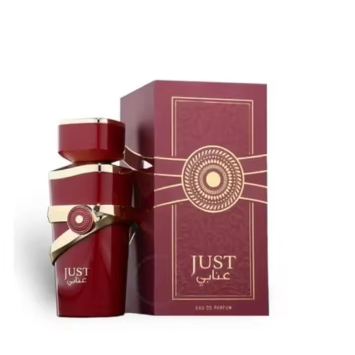 Just Anabi by Fragrance World – Perfume Árabe Exclusivo (100 ml) - 1