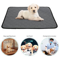 Alfombra De Entrenamiento Para Perros Y Gatos Absorbente Y Lavable No Esmerilada Cómoda Y Transpirable Para Uso Doméstico - details 3