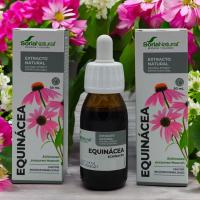 Extracto de Equinácea 50ml Soria Natural, Sistema inmunitario, Defensas naturales, Antiinflamatorio, Antiviral, Antibacteriano, Antifúngico. - details 1