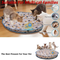 Juguete Interactivo Para Gatos Bola Roolante Rápida En Bolsa Juego De Escondite Para Gatos Juguetes Para Interiores Activado Por Movimiento - details 3