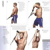 Cuerda De Agachamiento Para Tríceps Accesorio De Gimnasio Para Músculos De Braza Y Hombro Manijas De Face Pull Para Entrenamiento De Fuerza - details 1