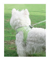 Correa Para Mascotas Ajustable Y Antirrompida De Talle Suave Transpirable Tipo Chaleco Para Perros Y Gatos Pequeños Con Correa Para El Cuello Y La Espalda - details 17