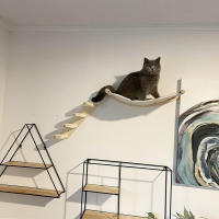 Conjunto De Pasos Para Gato Montado En La Pared Escalera De Madera Sillón Colgante Para Dormir Poste De Rasguñar Moderno Muebles Para Gatos - details 3