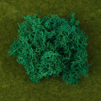 1Pc Moss Artificial De Colores Naturales Para Decoración De Joyería Jardín Y Epoxy Resina Decorativa Para Mesa - details 5
