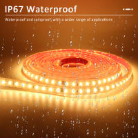 Tira De LED Flexible 220V IP68 Impermeable Con 120LEDs/m SMD 2835 yInterruptor on off EU Plug Para Iluminación Exterior - details 3