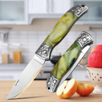 Cuchillo De Afeitar Profesional En Acero Inoxidable Con Mango Plegable Cuchillo De Carne Y Fruta Para Corte De Pescado Y Carne En La Cocina - details 0