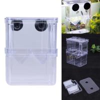 Incubador De Acuario Multifuncional Para Crecimiento De Peces Transparente 1L Con Doble Capacidad Para Guppies Y Reproducción De Peces - details 7