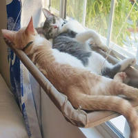 Colchón Para Gatos Universal De Todas Las Estaciones Con Soporte De Escalada Para Ventanas Y Balcones Absorbedor De Sución Para Mascotas Material Oxford - details 1