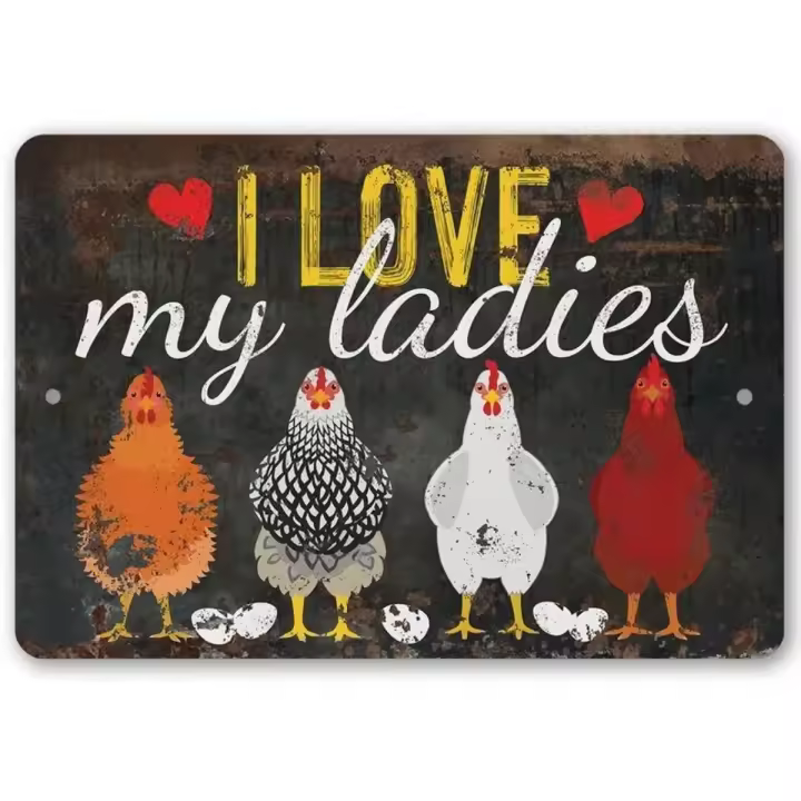 Cartel Vintage De Tin Sign 'Me Encanta Mi Pato' Decoración Divertida Para Granja De Pollos Adorno De Pared Para Sala De Masculino 12x8 Pulgadas 20x30 Cm - 1