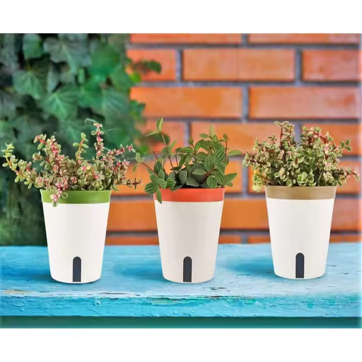 Maceta de Riego automático de 3 piezas, Maceta Redonda de plástico para plantas, Macetas de Jardín Para aloe, Hierbas, Orquídeas, suculentas, orificio de Drenaje para Ventana con nivel de Agua, bandeja Oculta - 1