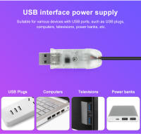 Tiras LED RGBIC De Fuego Con Control Bluetooth APP Y Sincronización Con Música Para Decoración De Paredes Y Fiestas DC5V USB Dream Color - details 3