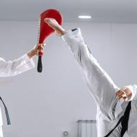 Almohadillas De Patada Y Puñetazo Taekwondo Muay Thai Equipo De Entrenamiento De Lucha Sandbag De Cuero PU Mat De Boxeo Práctica De Objetivo - details 10