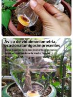 Dispositivo De Riego Automático Para Suculentas Regadío Lazos Herramienta De Riego Doméstico Con Sprinkler Y Drip Irrigation - details 5