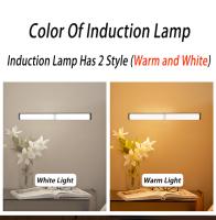 Luz De Sensor De Movimiento LED Luz Nocturna Inalámbrica USB Para Armario De Cocina Dormitorio Sensor Iluminación Interior - details 13