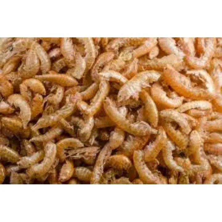 COMIDA TORTUGAS GAMMARUS FAMILY MASCOTAS BOLSA 1 Kg. - 1