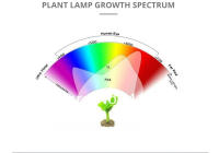 Lámpara De Crecimiento Para Plantas LED E27 Espectro Completo Foco Para Cultivo En Invernadero Y Tentación Hidroponía Con Varias Quantidades De LEDs 48/60/80/126/200/300 - details 1