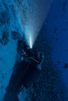 Linterna Submarina Recargable Zoom 200M LED Profesional Portátil Impermeable IPX8 Linterna De Buceo Paweinuo Color Negro - details 15