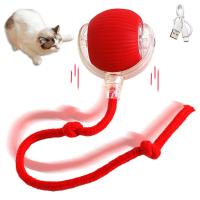 Juguete Interactivo Para Gatos Y Perros Bola Eléctrica Automática Recargable Imitación De Rata Entrenamiento Inteligente - details 14