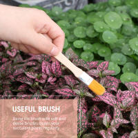 Juego De Herramientas De Jardinería 12PCS Para Plantas Miniatura Fairy Transplantación De Suculentas Y Bonsái Herramientas Manuales De Jardinería - details 3