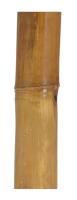 Gerimport Palo de Bambú Clasic Mahoney 7 x 150 cm - Decoración Natural Elegante para Arreglos Florales, Soportes de Plantas y Proyectos Creativos, Ideal para Interiores y Exteriores, Aporta Estilo y Calidez a Tu Hogar - details 1