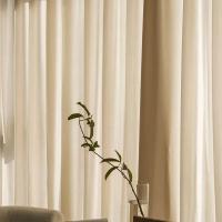 Cortinas De Tulle Sólidas Para Sala De Estar Ventanas Cortina Transparente Para Puerta De Sala Decoración Suave Rideau Voilage Textura - details 4