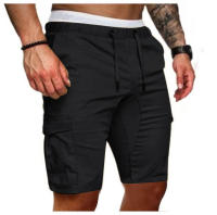 Shorts Casuales Para Diario Viaje Pantalones De Hombre Estilo Regular Cintura Media Polyester Primavera Verano Con Bolsillos - details 48