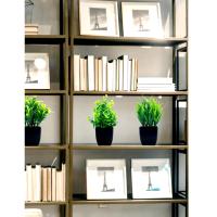 1pc Falsa Planta De Eucalipto Artificial En Maceta Negra Para Decoración De Interiores Oficina Farmacia Baño Estilo Rústico - details 3