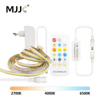 Tira De Luz LED COB Flexible 1-5M 24V CCT WW CW Dimmable Con RF 17Teclas Remote Iluminación Lineal De Alta Brillo Para El Hogar - details 0
