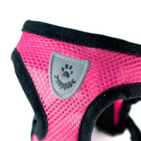 Juego De Correa Para Perros Y Gatos Transpirable Para Paseos En Verano Equipamiento Para Mascotas De Pecho Y Espalda Adecuado Para Perros Pequeños - details 5