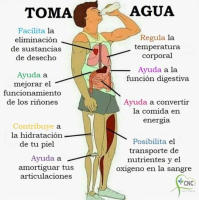 Crema Multipropósito SANDALFON con Aloe Vera y Zinc - Acción Antibacteriana y Cicatrizante | Producto Natural para Piel Suave y Saludable - details 5