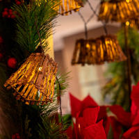 Newgarden - CARINA Guirnalda de Luces de Navidad Decorativa con Cable y Luz LED Cálida. 330 cm de Largo. Decoración para la Navidad. Hecha en España - details 0
