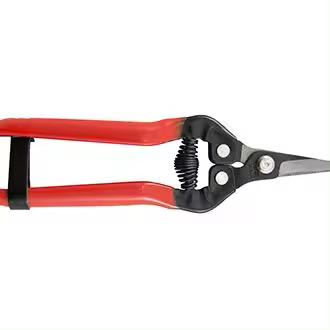 Altuna TIJERA RECOLECTAR 1280 CITRICOS 170mm. - 1