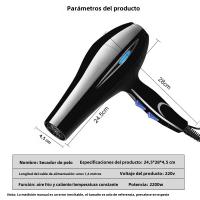Secador De Pelo Profesional 2200W Potente Calefacción Rápida Ajuste Calor Frío Iónico Con Recogida De Aire Mano Plegable ABS EU Plug - details 8