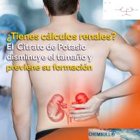 AGROBULL Citrato de Potasio para Regular Acidez en Producción Alimentaria | Salud y Gimnasio - details 3