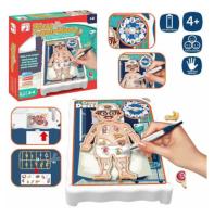 Toinsa - Juegos de mesa para niños y niñas, juego de mesa divertivos, educativos, interactivos... Ideales para más de 2 jugadores - details 5