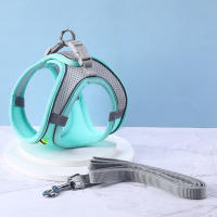 Juego De Correa Y Arnes Para Gato De Tela Malla Suave Ajustable Con Cinturones Reflectantes Para Pequeños Y Grandes Gatos Vestido De Caminar Con Correa - details 0