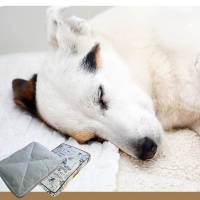 Colchoneta para perros, jaula para perros, cama cálida para perros medianos y pequeños, funda extraíble, cama de felpa lavable a máquina, 90 x 70 x 8 cm - details 0