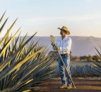 TRES 3SOMBREROS TEQUILA GOLD 38º 70CL - details 1