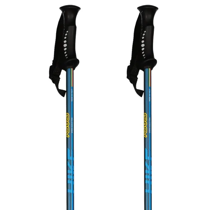Material senderismo Bastones Asolo Bastones Hike Transparente Unisex - 1