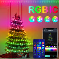 Luces LED RGBIC Bluetooth WS2812B Cadena De Luces Faeir Para Fiesta Navidad Boda Decoración Guirnalda Con USB Control Remoto Y Aplicación En Smartphone - details 0