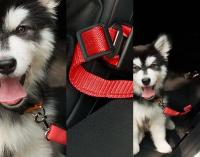 Cinturón de Seguridad para perro o gato Ancho 2.5 cm Azul y Negro, Longitud 45-75cm - ¡Protección Confiable para tus Mascotas! - details 5