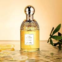 Citrus Basil Women's Perfume, Long Lasting Eau de Toilette Fresh Natural Niche Perfume, Women's Eau de Toilette, Micro-brewed Chilled Perfume, 100 ml (1*) - details 2