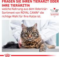 ROYAL CANIN VETERINARY GASTROINTESTINAL PIENSO PARA GATOS 2Kg - details 1