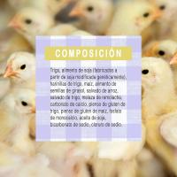 Pienso para Pollitos Versele-Laga 1/2 Show  Alimento de Arranque para crías Faisán, Perdiz, Gallina y Aves Ornamentales  5 Kg - details 1